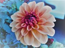 182468_3.jpg  : 137 KB