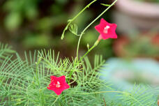 182502_2.jpg  : 116 KB