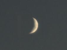 182524_1.jpg  : 8 KB