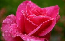 182801_1.jpg  : 57 KB
