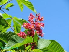 182872_1.jpg  : 53 KB
