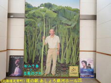 183070_2.jpg  : 52 KB