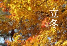 183073_1.jpg  : 141 KB