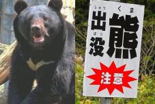 183073_3.jpg  : 84 KB