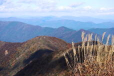 183085_1.jpg  : 120 KB