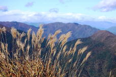 183085_2.jpg  : 166 KB