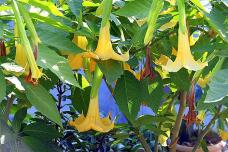 183091_3.jpg  : 71 KB