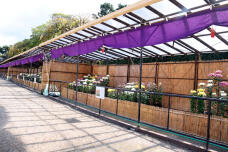 183094_1.jpg  : 212 KB