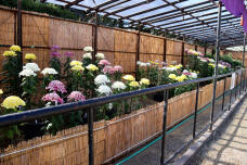 183094_2.jpg  : 231 KB