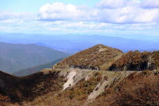 183103_2.jpg  : 140 KB