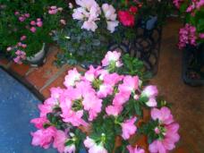 183104_1.jpg  : 120 KB