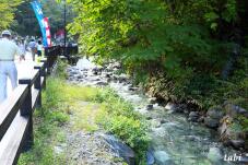 183107_3.jpg  : 117 KB