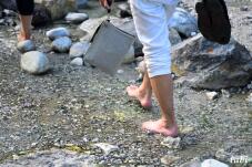 183107_7.jpg  : 106 KB