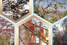 183113_1.jpg  : 359 KB