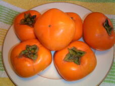 183117_1.jpg  : 23 KB