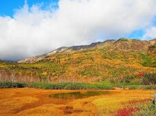 183125_2.jpg  : 168 KB