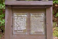 183132_4.jpg  : 85 KB