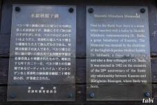 183132_6.jpg  : 70 KB