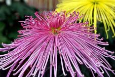 183139_1.jpg  : 139 KB