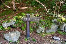 183155_1.jpg  : 171 KB