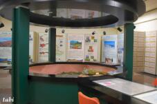 183155_7.jpg  : 44 KB