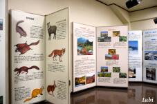 183155_8.jpg  : 62 KB