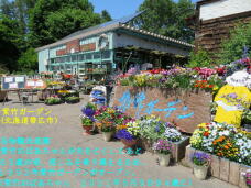 183156_1.jpg  : 104 KB