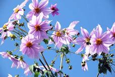 183159_1.jpg  : 60 KB