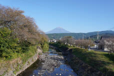 183162_1.jpg  : 249 KB