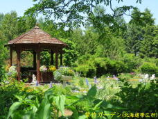 183189_1.jpg  : 108 KB