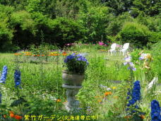 183189_3.jpg  : 109 KB