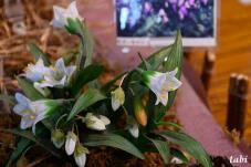 183200_10.jpg  : 50 KB