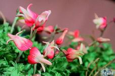 183200_4.jpg  : 60 KB