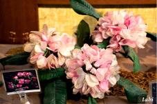 183200_5.jpg  : 60 KB