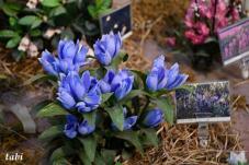 183200_6.jpg  : 63 KB