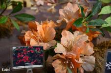 183200_8.jpg  : 57 KB