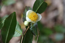 183208_2.jpg  : 68 KB