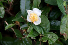 183208_3.jpg  : 101 KB