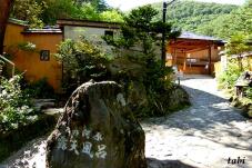 183222_3.jpg  : 72 KB