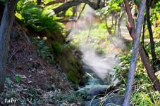 183222_7.jpg  : 97 KB