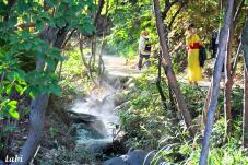 183222_8.jpg  : 134 KB