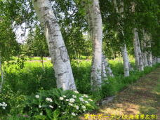 183224_1.jpg  : 108 KB