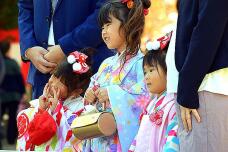 183228_1.jpg  : 92 KB