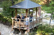 183236_2.jpg  : 99 KB