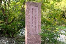 183236_5.jpg  : 169 KB