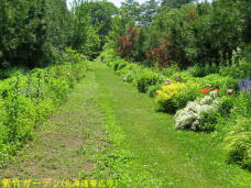 183237_3.jpg  : 115 KB