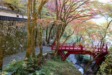 183244_2.jpg  : 265 KB