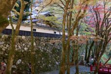 183244_3.jpg  : 240 KB