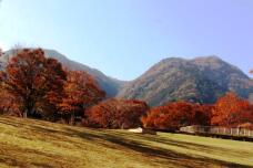 183247_2.jpg  : 123 KB