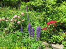 183252_2.jpg  : 135 KB